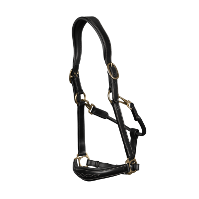 Lederen Halster D Collection by Dy'on Zwart
