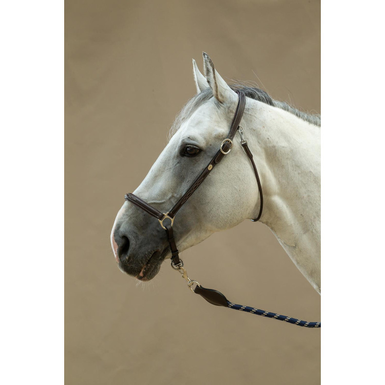 Halster Voor Poetsen Working By Dy'on