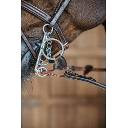 Lange Pelham-riem Dy'on