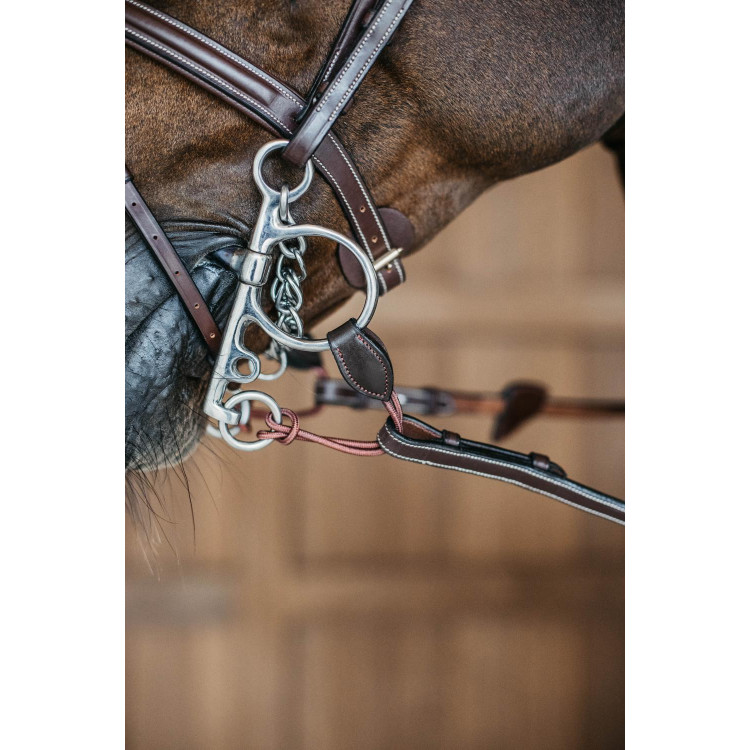 Lange Pelham-riem Dy'on
