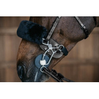 Bescherming van Hackamore Dy'on Zwart