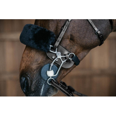 Bescherming van Hackamore Dy'on Zwart Bescherming van Hackamore Dy'on Zwart