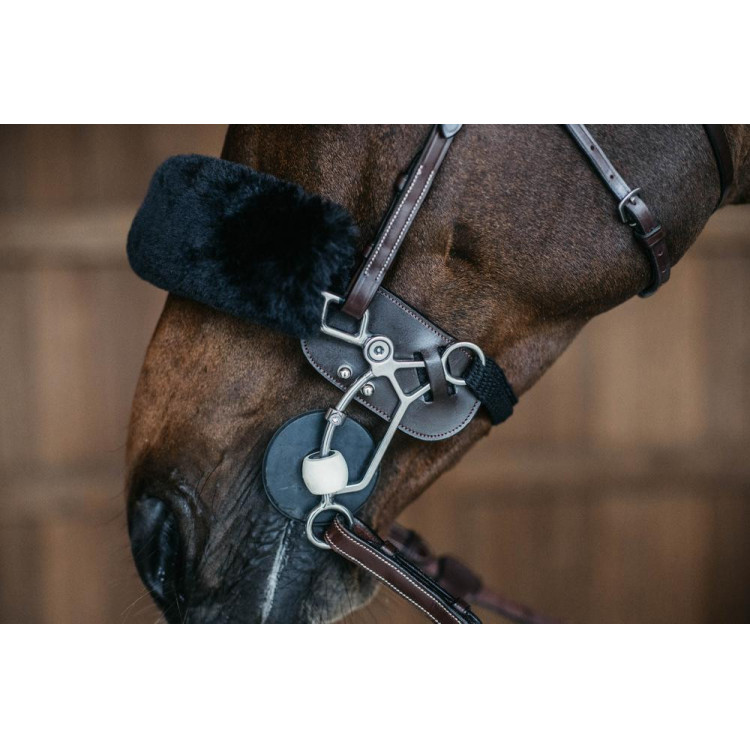 Bescherming van Hackamore Dy'on