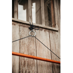 Luxe tapijshouder Grooming Deluxe by Kentucky Bruin Luxe tapijshouder Grooming Deluxe by Kentucky Bruin