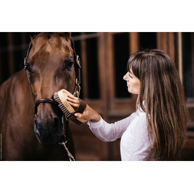 Brosse douce à poils doux Grooming Deluxe by Kentucky Brun