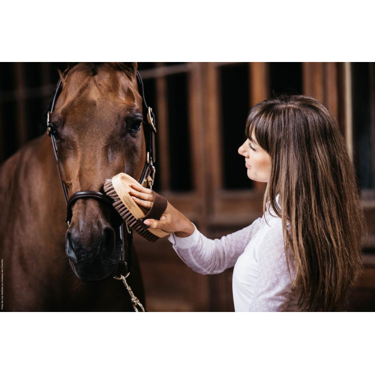 Zachte borstel met zachte haren Grooming Deluxe by Kentucky Zachte borstel met zachte haren Grooming Deluxe by Kentucky