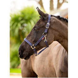 Halster in neopreen LeMieux Essential Yard Halster in neopreen LeMieux Essential Yard