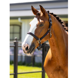 Halster in neopreen LeMieux Essential Yard Zwart Halster in neopreen LeMieux Essential Yard Zwart