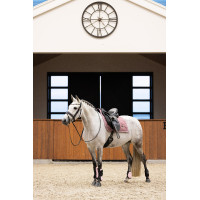 Kogelbeschermers Imperial Riding Lovely Wit Kogelbeschermers Imperial Riding Lovely Wit