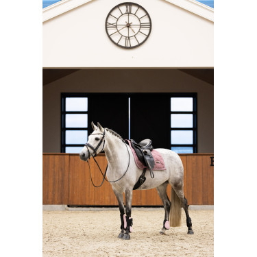 Kogelbeschermers Imperial Riding Lovely Kogelbeschermers Imperial Riding Lovely