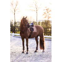 Kogelbeschermers Imperial Riding Lovely Wit