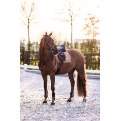 Kogelbeschermers Imperial Riding Lovely Cappuccino Bruin