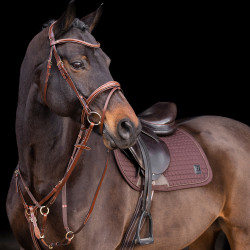 Martingaal HV Polo Legacy