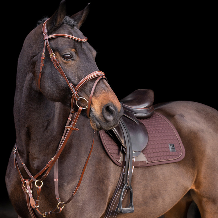 Martingaal HV Polo Legacy