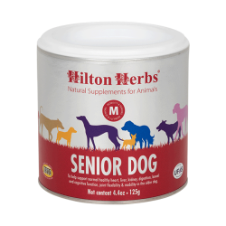 Senior hond Hilton Herbs Senior hond Hilton Herbs