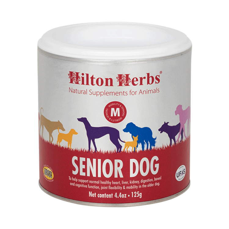 Senior hond Hilton Herbs Senior hond Hilton Herbs