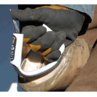 RAPE RADIUS RASP ORIGINAL RAPE RADIUS RASP ORIGINAL