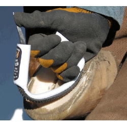 RAPE RADIUS RASP ORIGINAL RAPE RADIUS RASP ORIGINAL