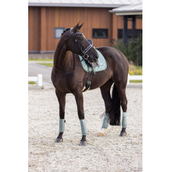 Zadeldek Imperial Riding Sky DR Saliegroen