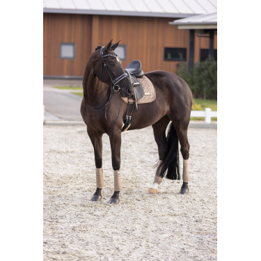 Zadeldek Imperial Riding Sky GP Cappuccino Bruin