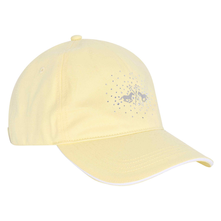 HV Polo Classic pet