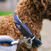 Halsband voor hond HV Polo Franka Rope Marine Marineblauw Halsband voor hond HV Polo Franka Rope Marine Marineblauw