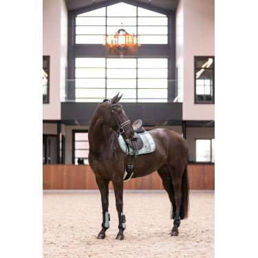 Imperial Riding Lovely beenkappen Saliegroen Imperial Riding Lovely beenkappen Saliegroen