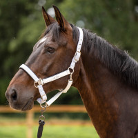 Halster HV Polo Skye Wit Halster HV Polo Skye Wit