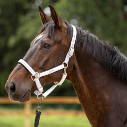 Halster HV Polo Skye Wit