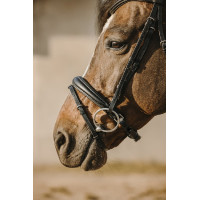 Bridon Eric Thomas Bat Zwart Bridon Eric Thomas Bat Zwart