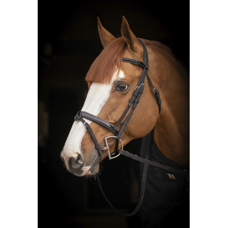 Birdon Oxford Prestatie Pénélope Birdon Oxford Prestatie Pénélope