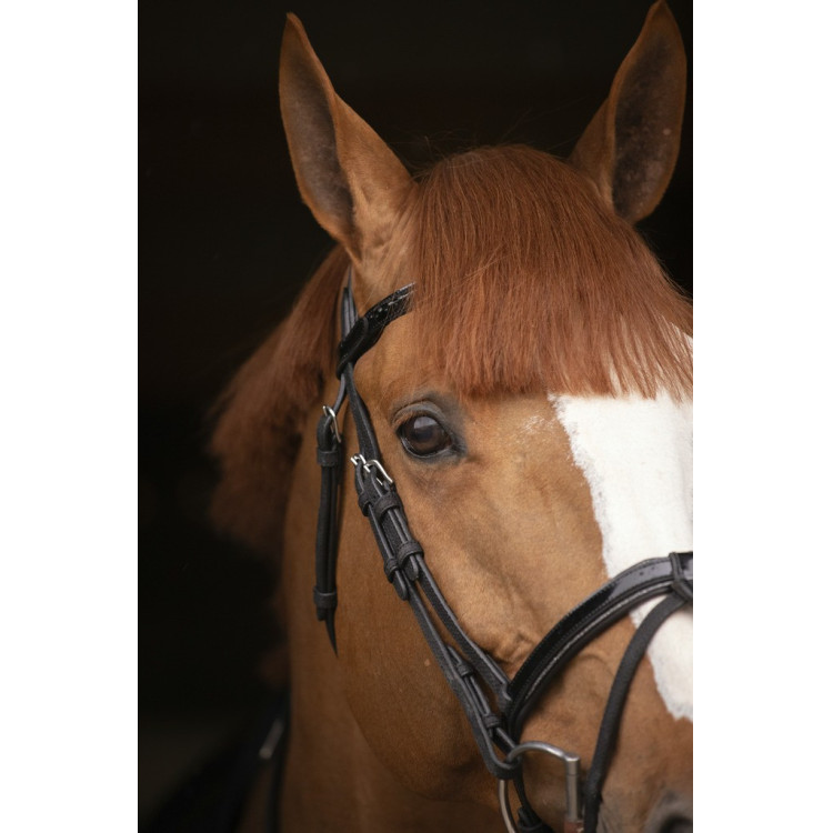 Birdon Oxford Prestatie Pénélope Birdon Oxford Prestatie Pénélope