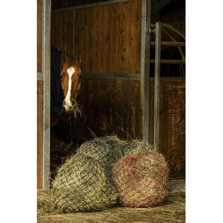 Hooinet Hippotonic Zari Hooinet Hippotonic Zari
