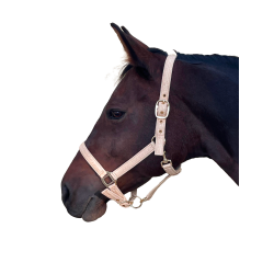 Halster Canter Malibu