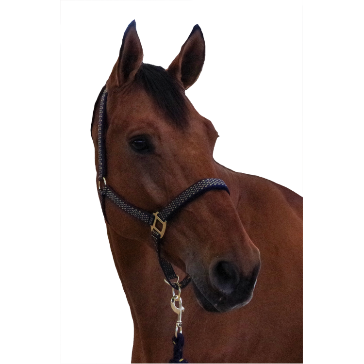 Set halster + lijn Sonoma Canter