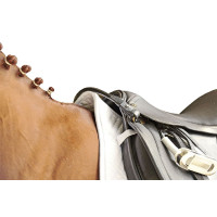 Beugelriem HKM voor zadel Zwart