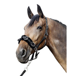 Nylon gevoerde cavesson van HKM