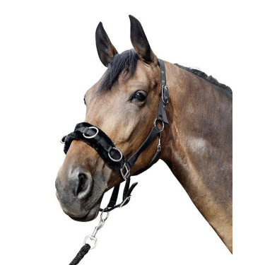 Nylon gevoerde cavesson van HKM Nylon gevoerde cavesson van HKM