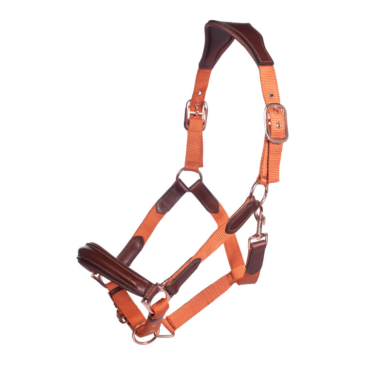 Halster HKM Edinburgh Halster HKM Edinburgh