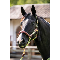 Halster HKM Edinburgh Brandy Bruin