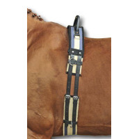 Longerlijn met handvat HKM Donkerblauw / beige