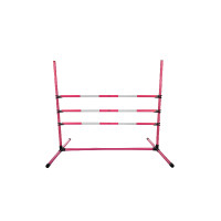 HKM Hobby Horsing springset Roze HKM Hobby Horsing springset Roze