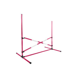 HKM Hobby Horsing springset Roze