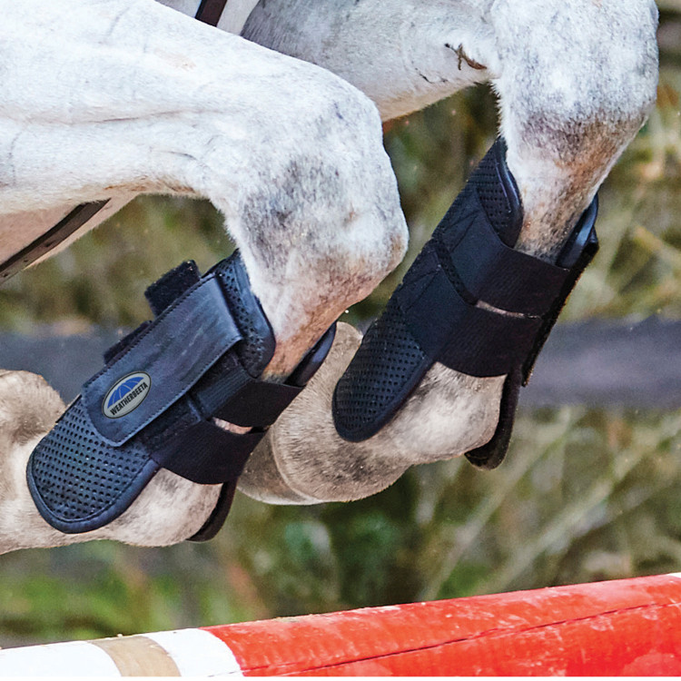 WeatherBeeta Lite open voorbeenbeschermers