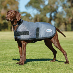 Hondenjas WeatherBeeta ComFiTec Classic