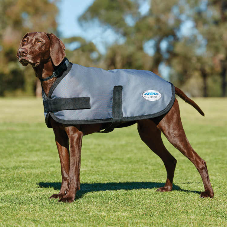 Hondenjas WeatherBeeta ComFiTec Classic