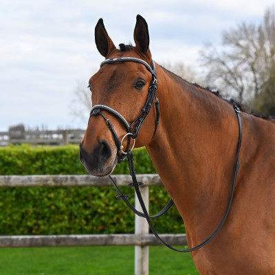 Hoofdstel Clincher Jump'In One Premium Zwart