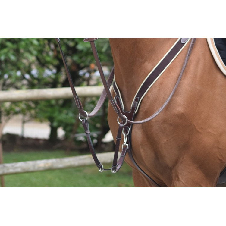 Elastic borsttuig Jump'In met martingaal