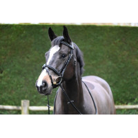 Filet Jump'In Crystal gecombineerde neusriem Week Zwart