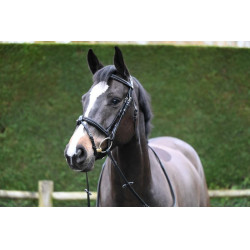Filet Jump'In Crystal gecombineerde neusriem Week Zwart Filet Jump'In Crystal gecombineerde neusriem Week Zwart